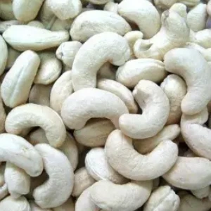 LBW240 light blemished white cashew kernels